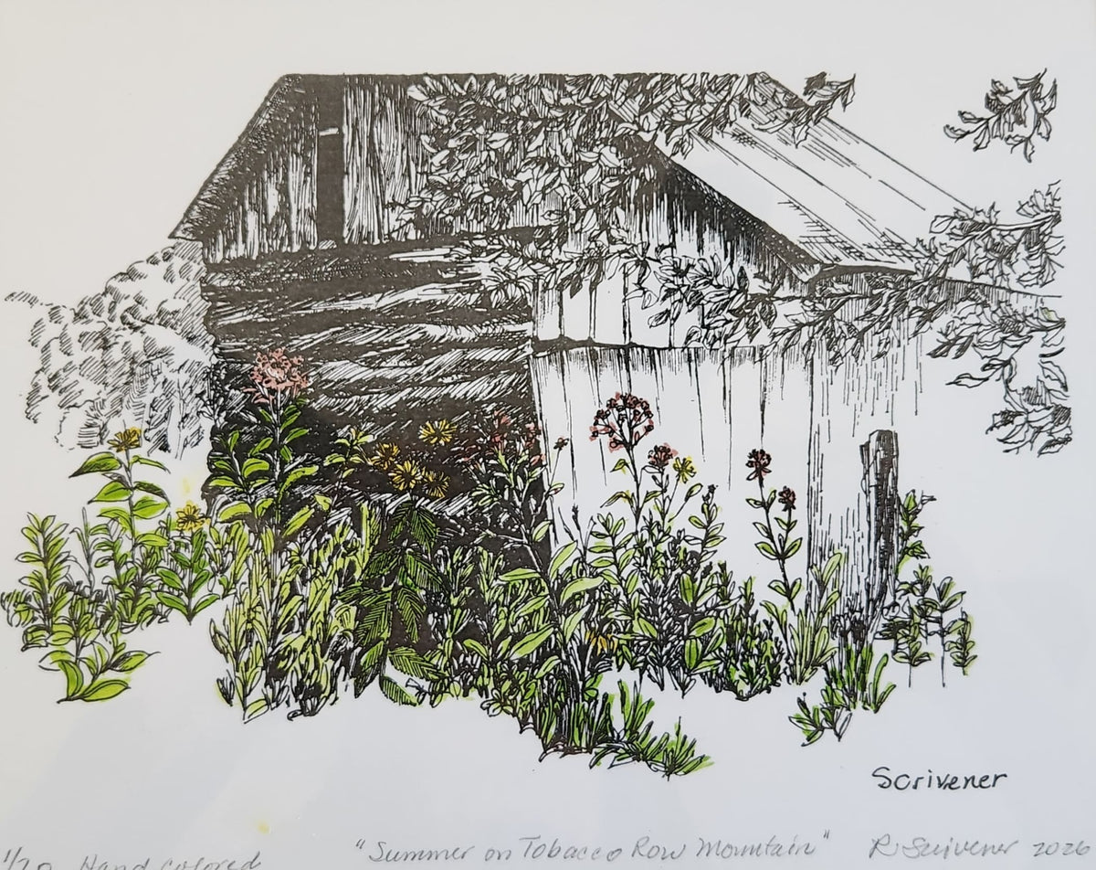 Summertime on Tobacco Row Mountain