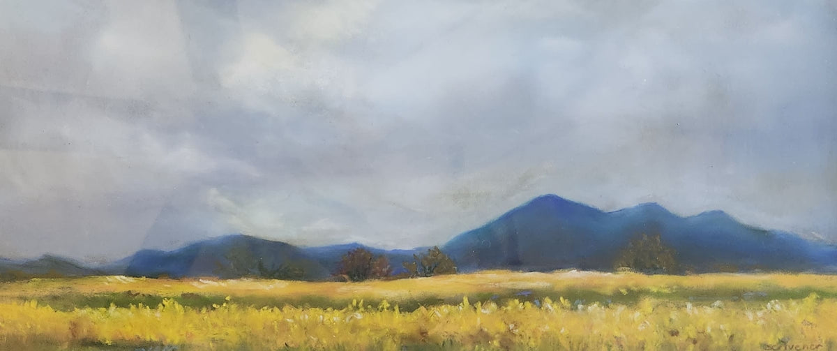Mustard Fields, Nelson County