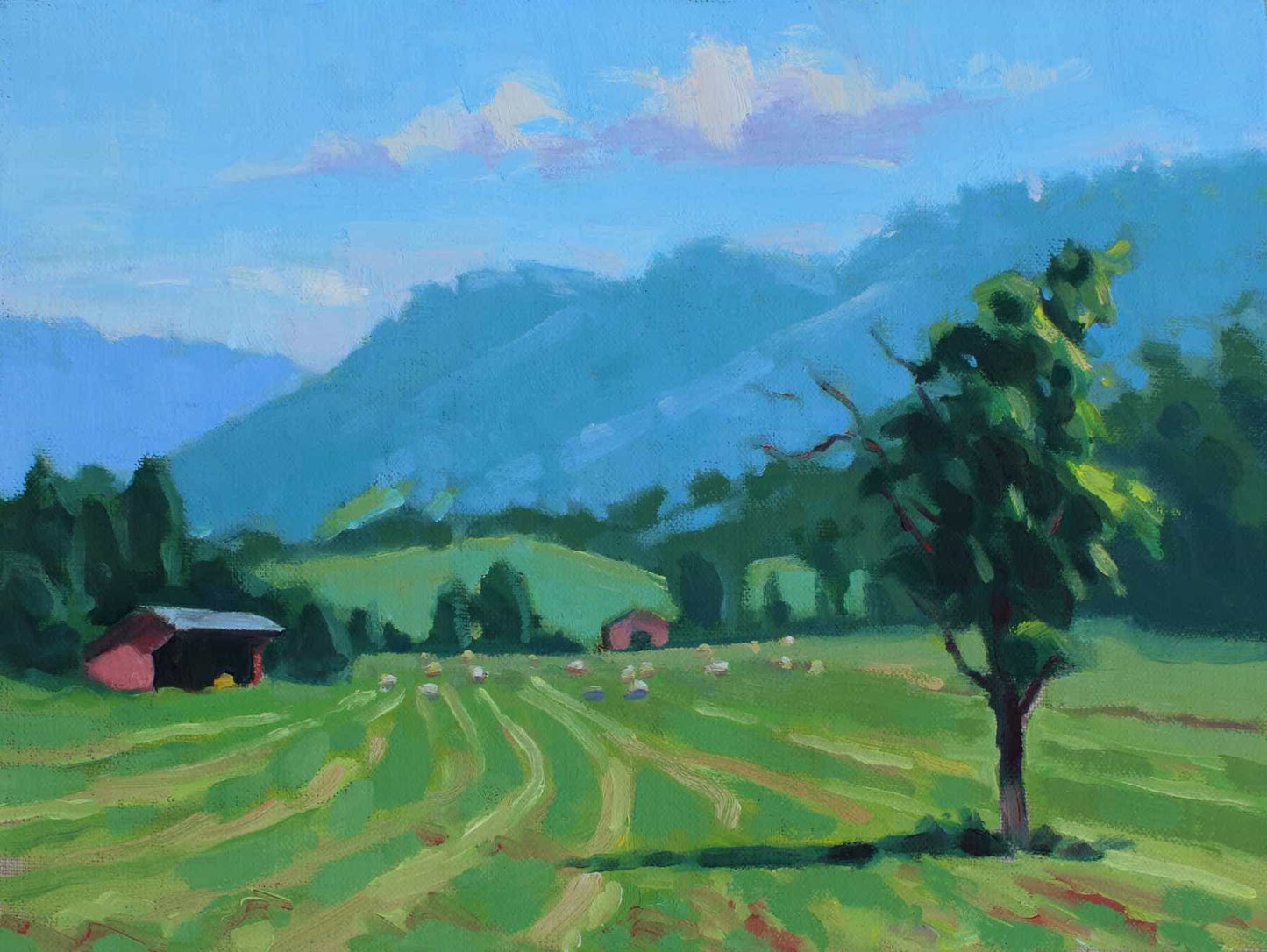 Graves Mill Farm Field
