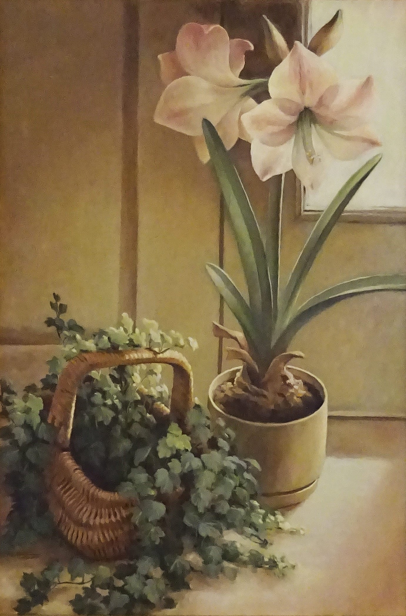 Amarylis and Ivy