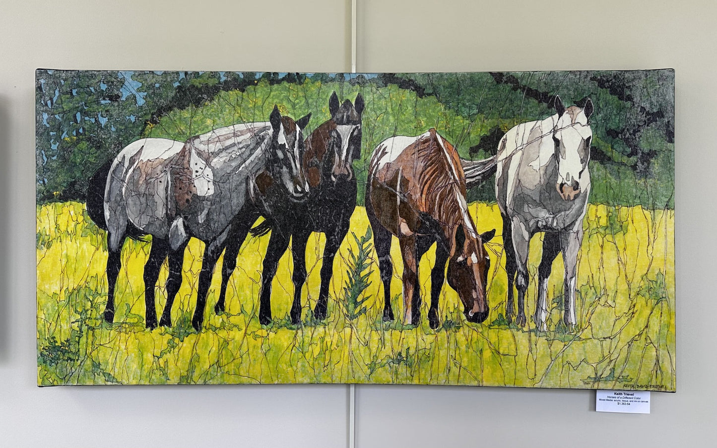 Horses of a Different Color