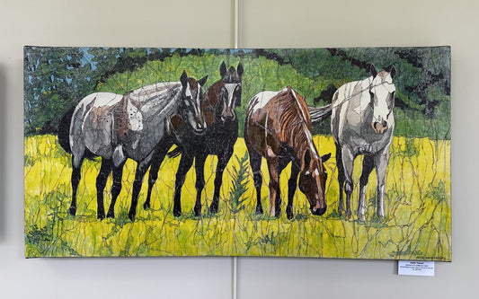 Horses of a Different Color