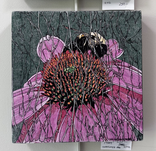 Coneflower Bee