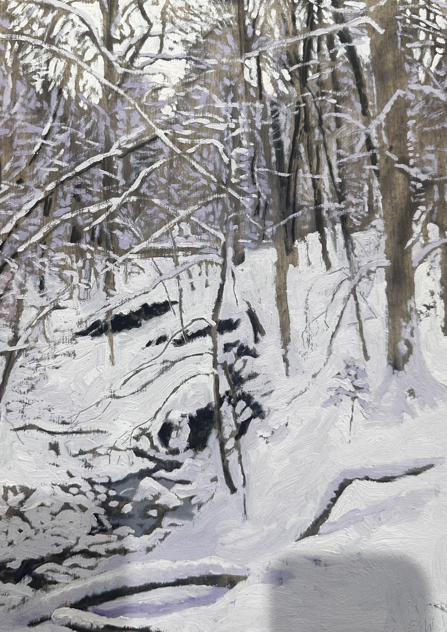 Morning After Snowfall