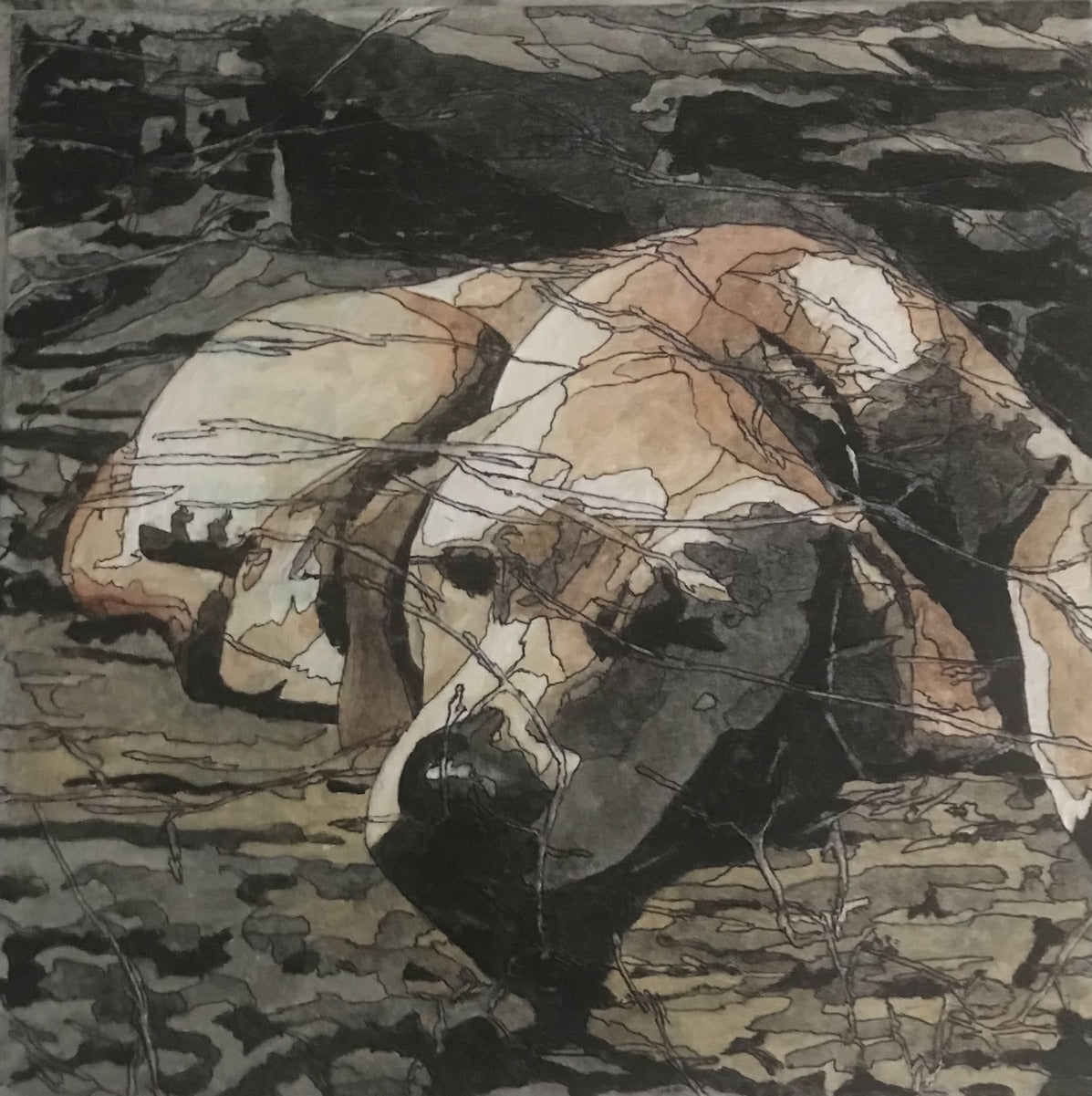 Dreaming on the Rocks