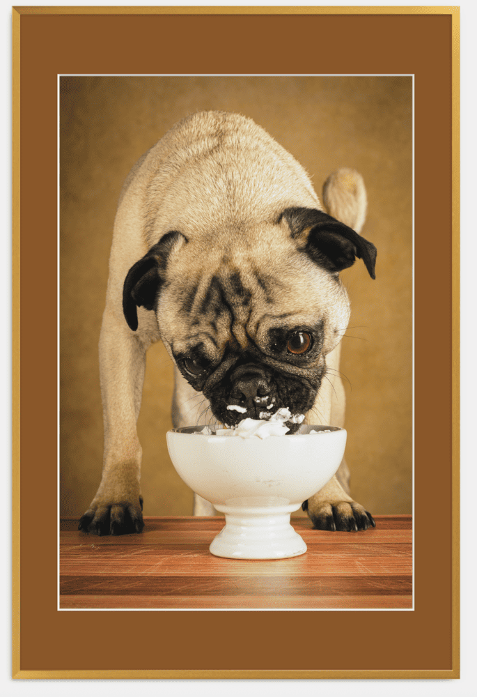 Instant Gratification