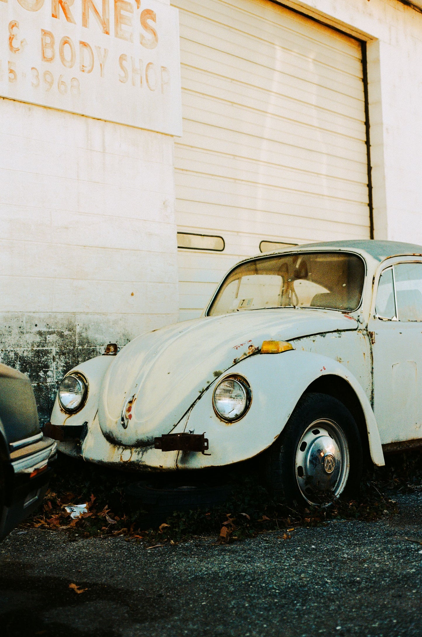 Forgotten Find By Konner Johnson