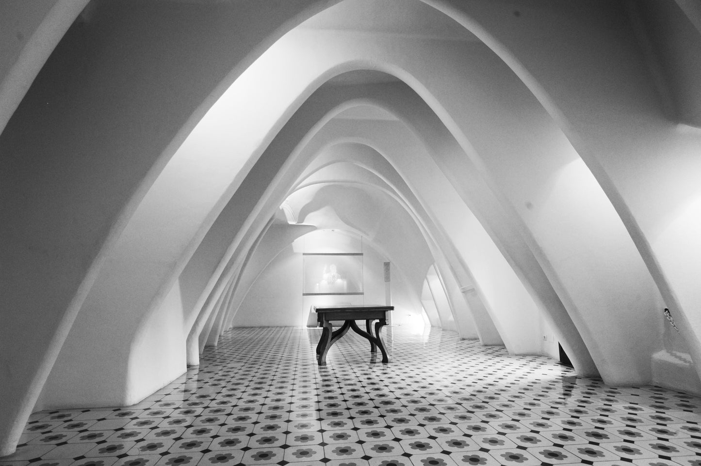 Gaudi By Janly Jaggard