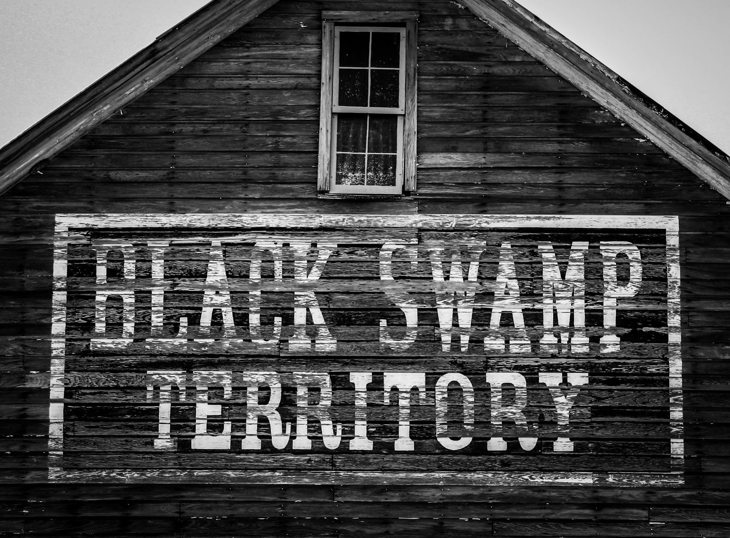 Black Swamp By Jaime Lucas