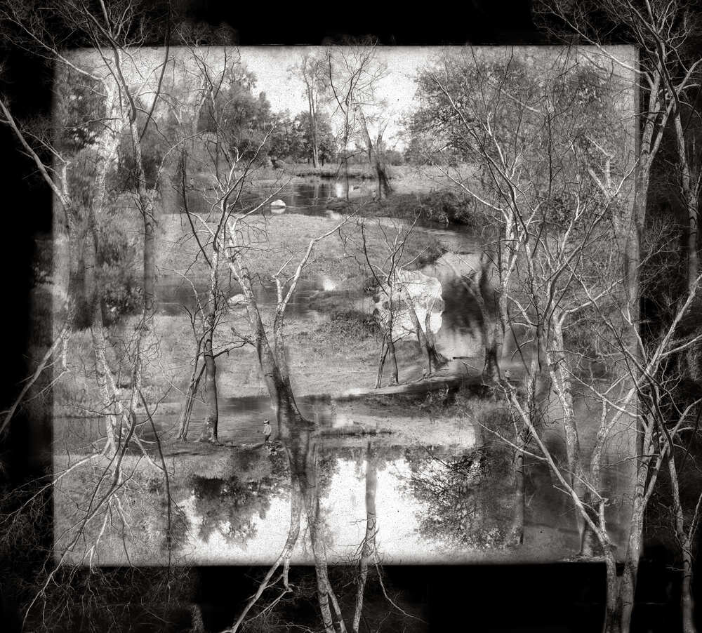 Riverbank Revisited By Pippi Miller