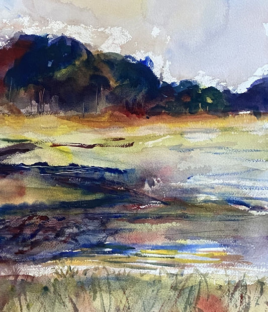 Mystic Marsh