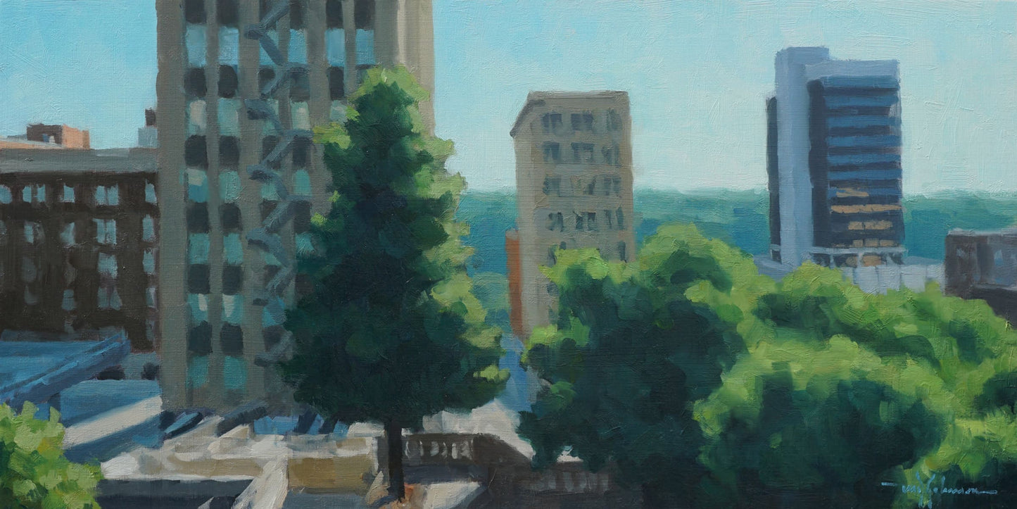 Downtown Overlook