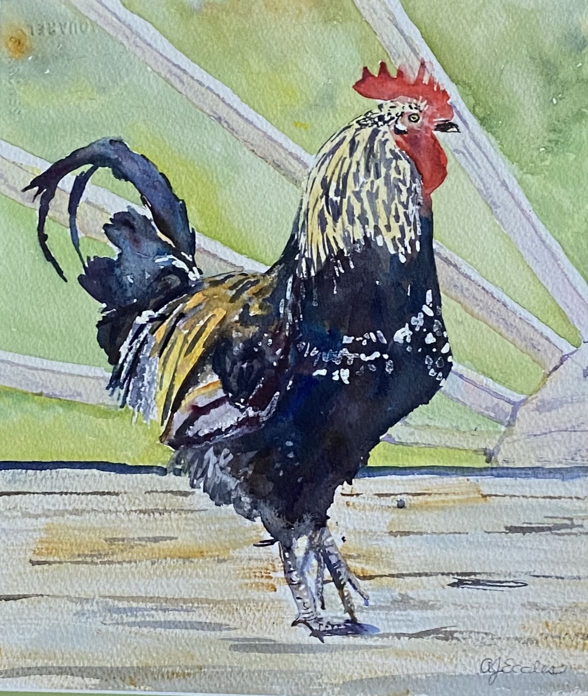 Sandee's Rooster
