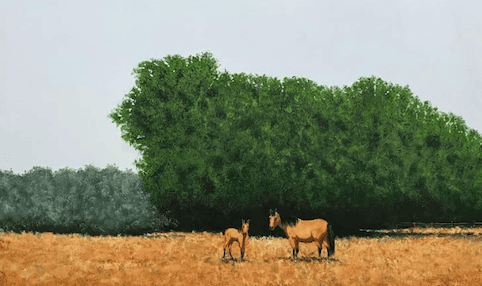 Lesson Interrupted