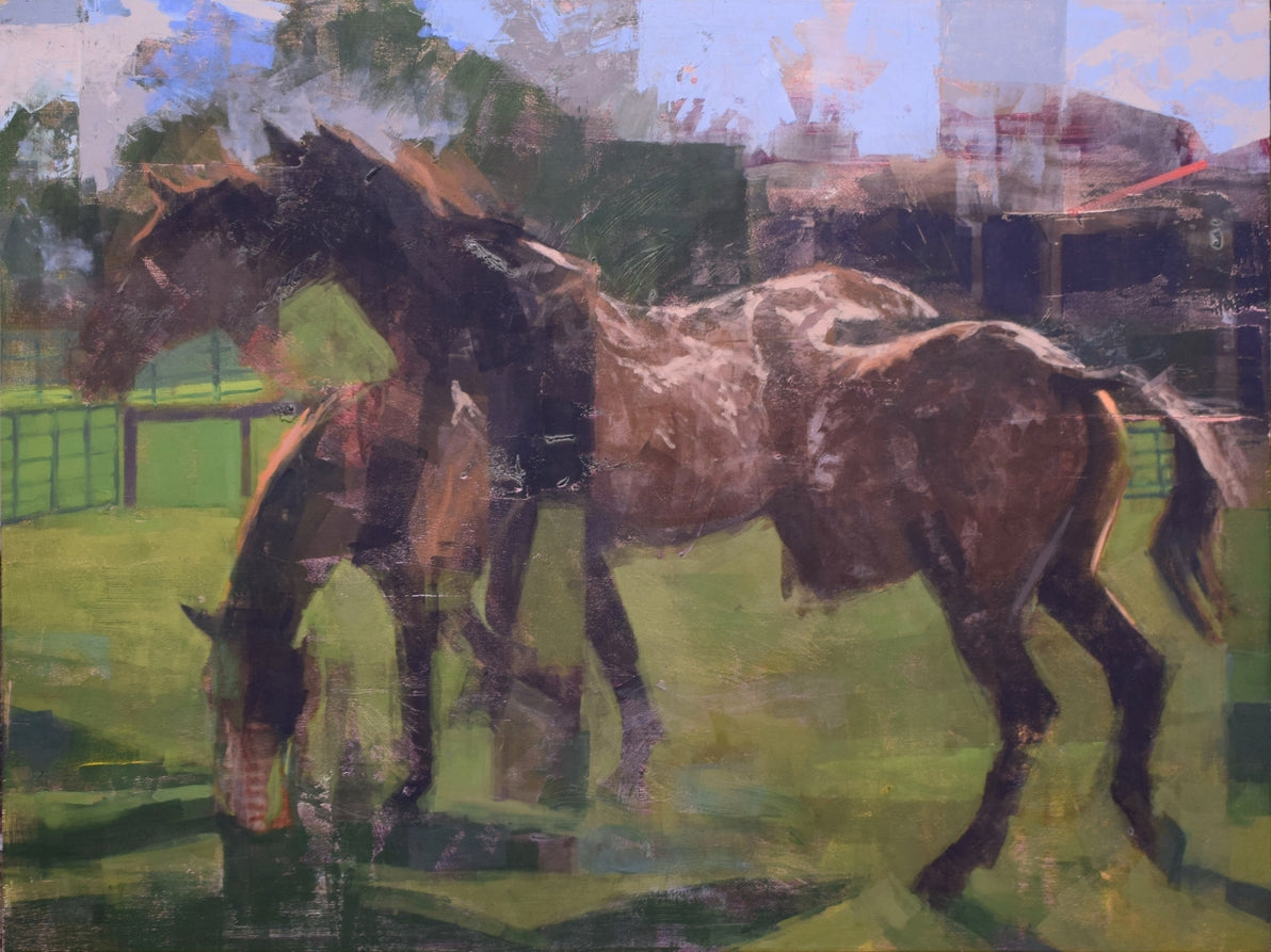 Appaloosa Locomotion