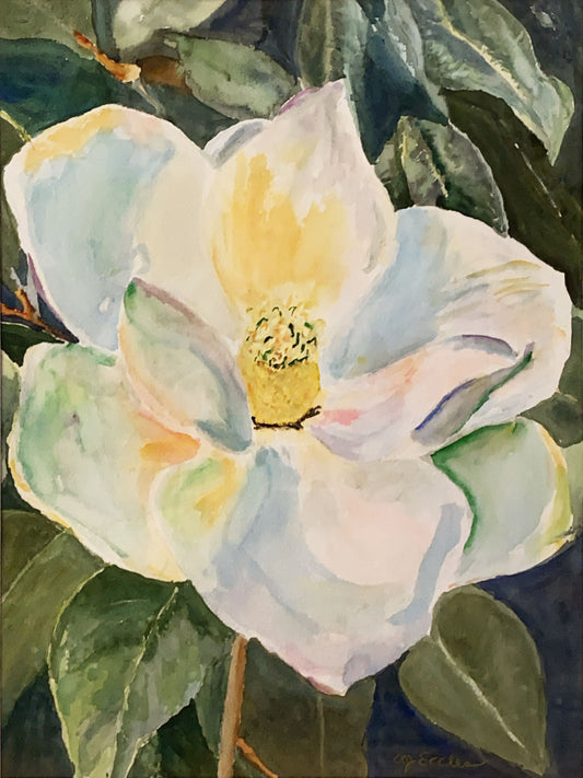 Sweet Magnolia