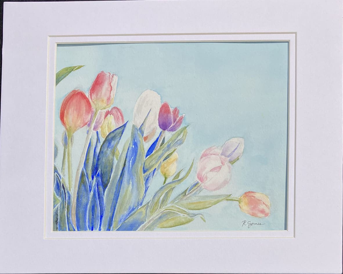 Tulips