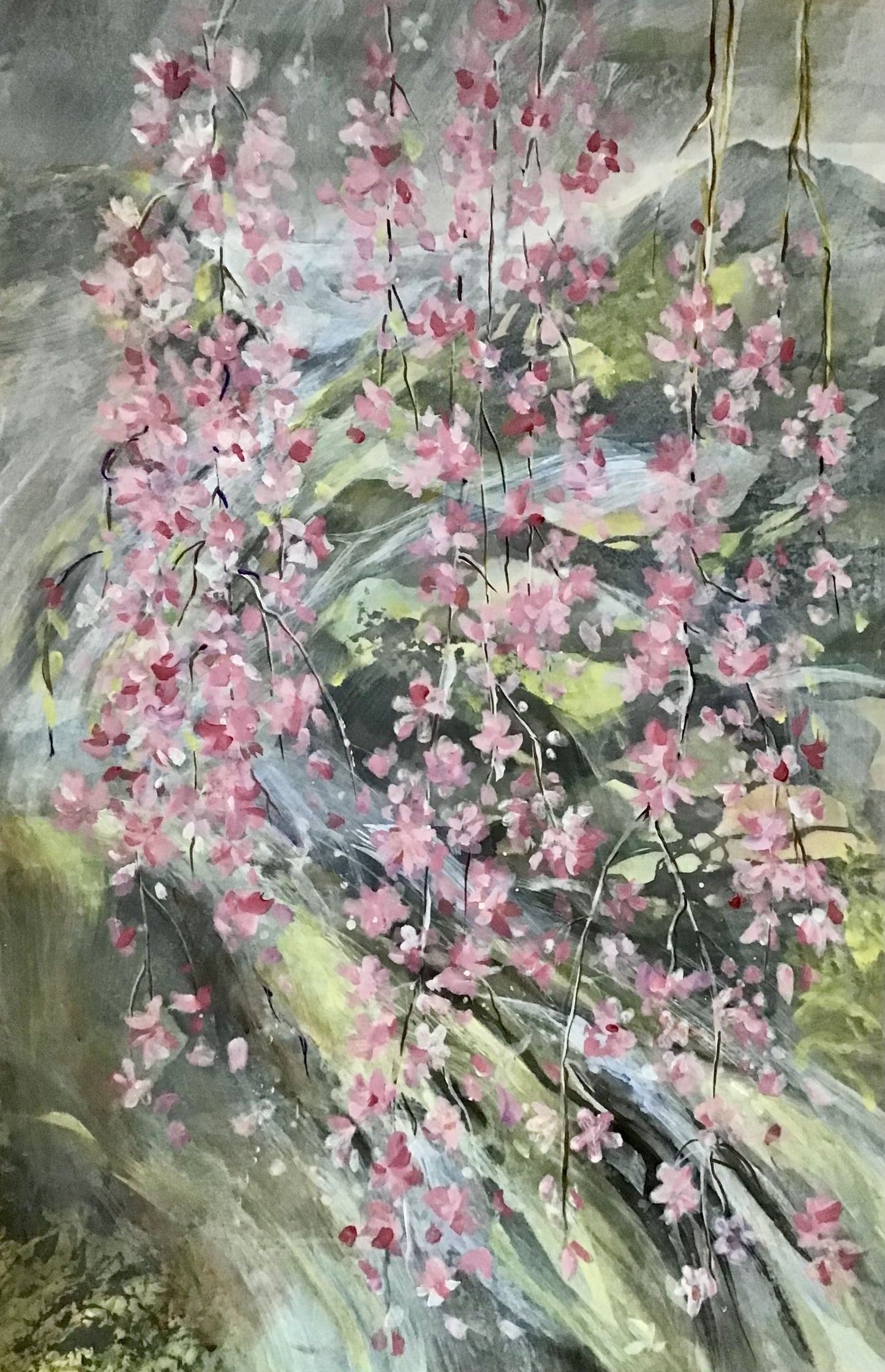 Cherry Blossoms