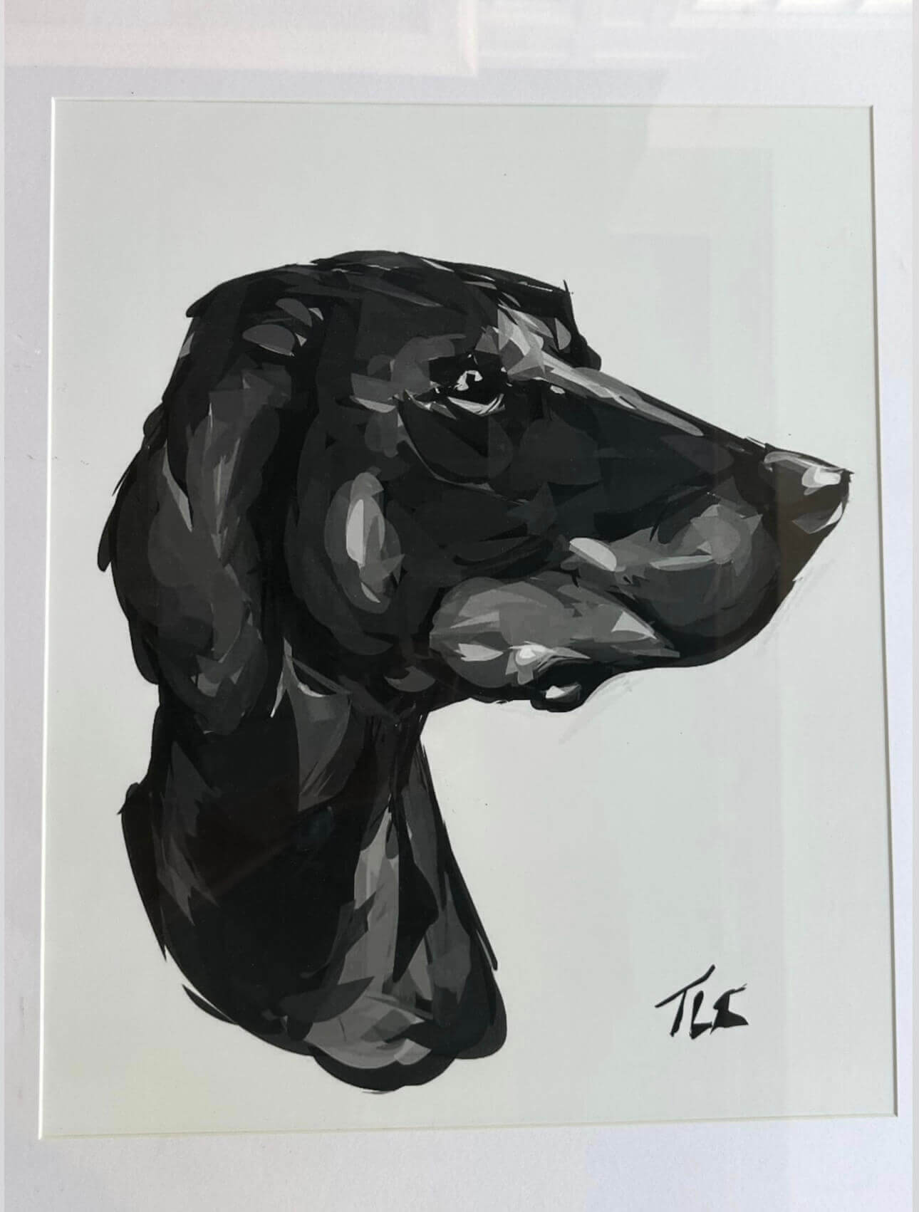 A hound gazing off
