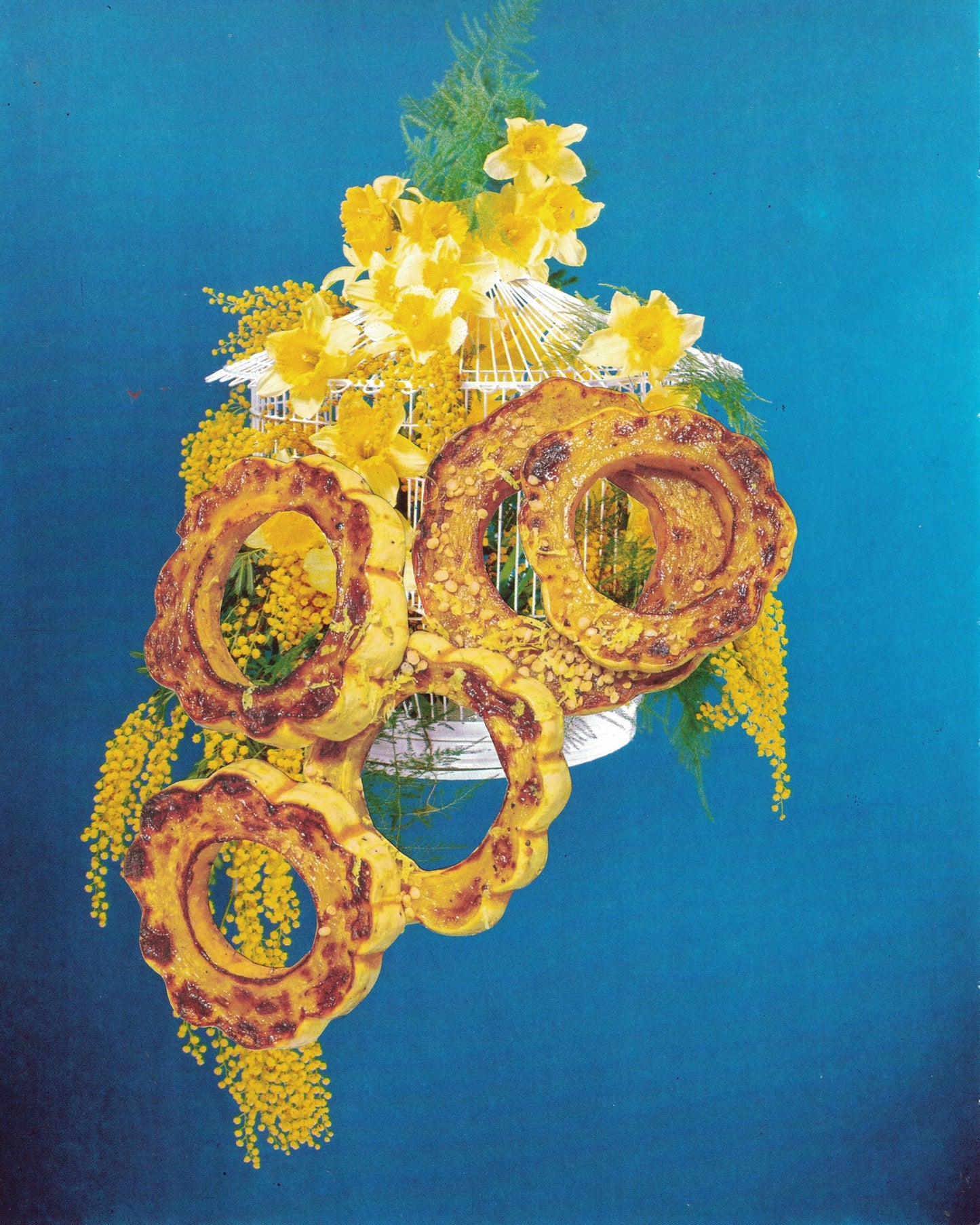 Delicata