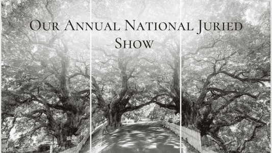 Celebrating Creativity: Winners of the Annual National Juried Show