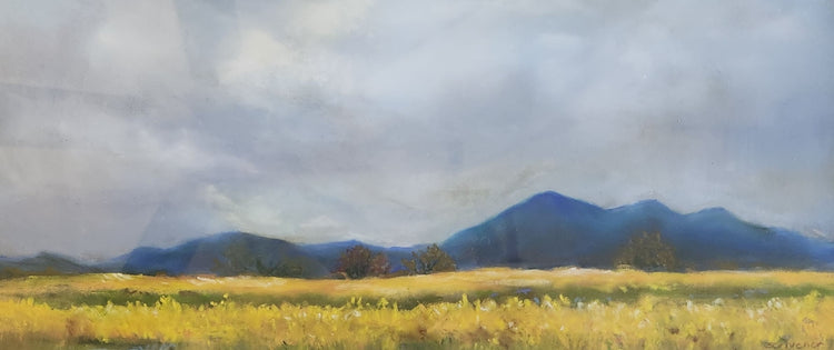 Roberta Scrivener