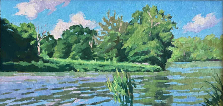 Debra Sheffer