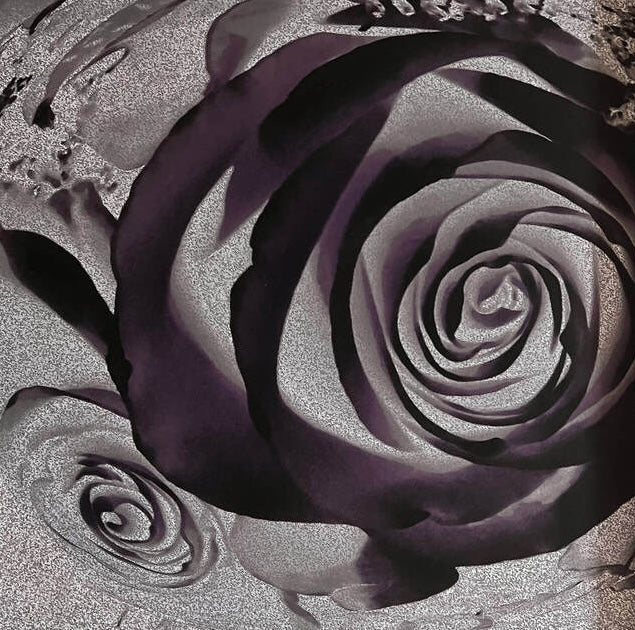 Dimensi Roder Susan Holland, ,mesmerizing photography, where intricate details unveil ...