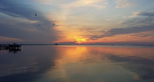 Chincoteague Bay MD. By Elaine D. Lee