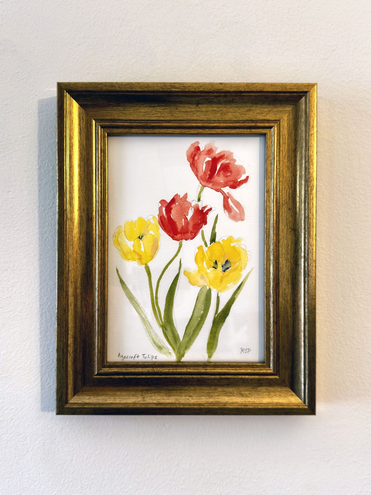 Agecroft Tulips I