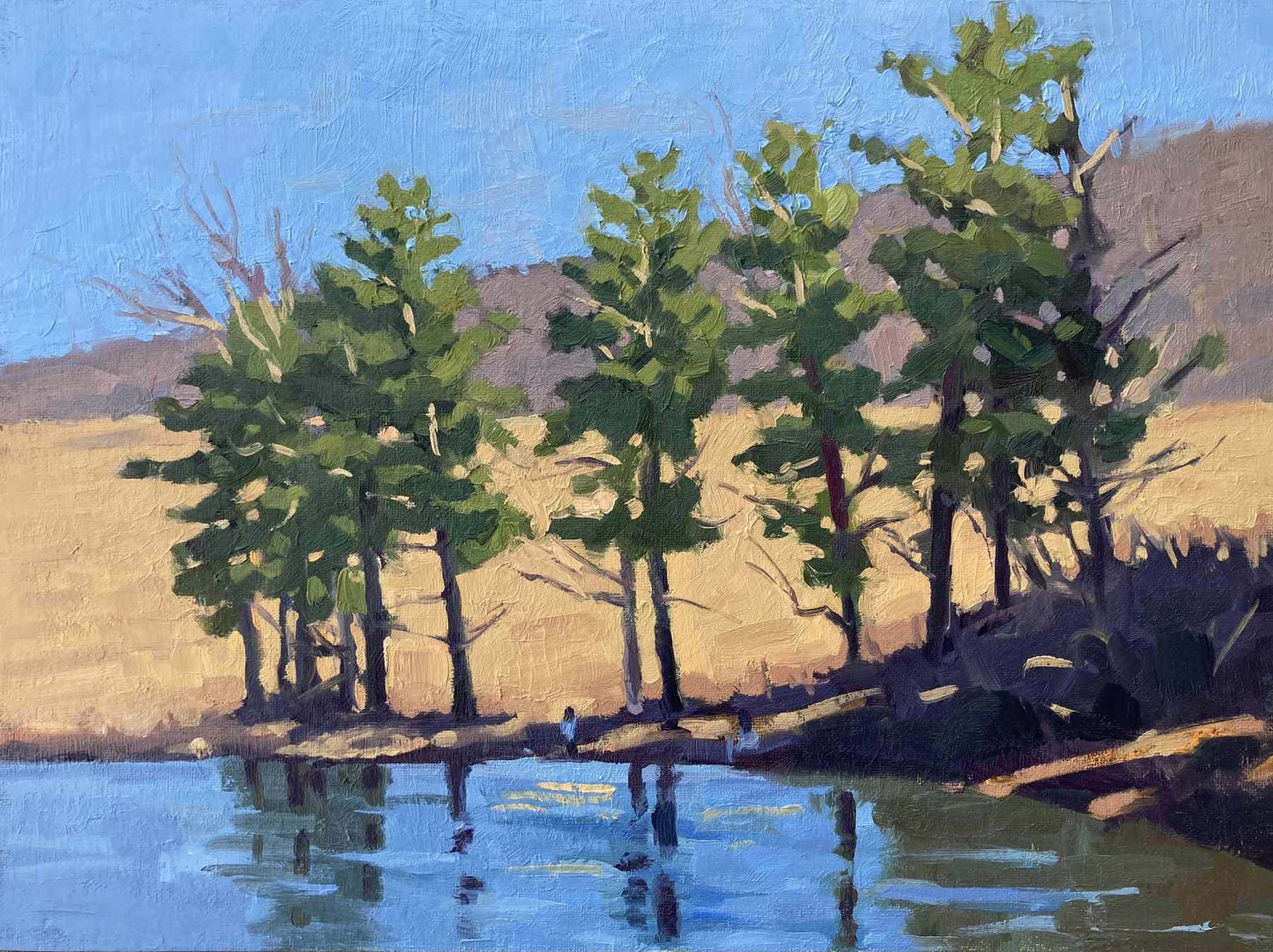 Fishing Beneath the Pines