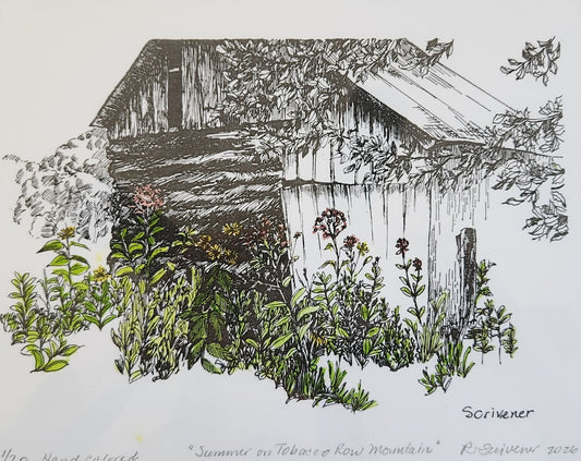 Summertime on Tobacco Row Mountain