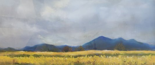 Mustard Fields, Nelson County