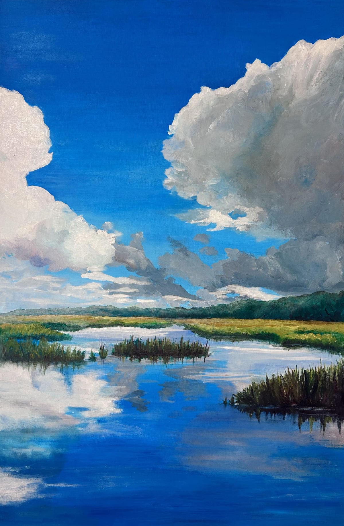 After the Rain, Tidal Marsh