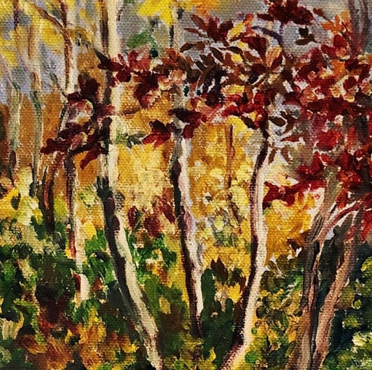 The Red Branch, Linda’s Woods