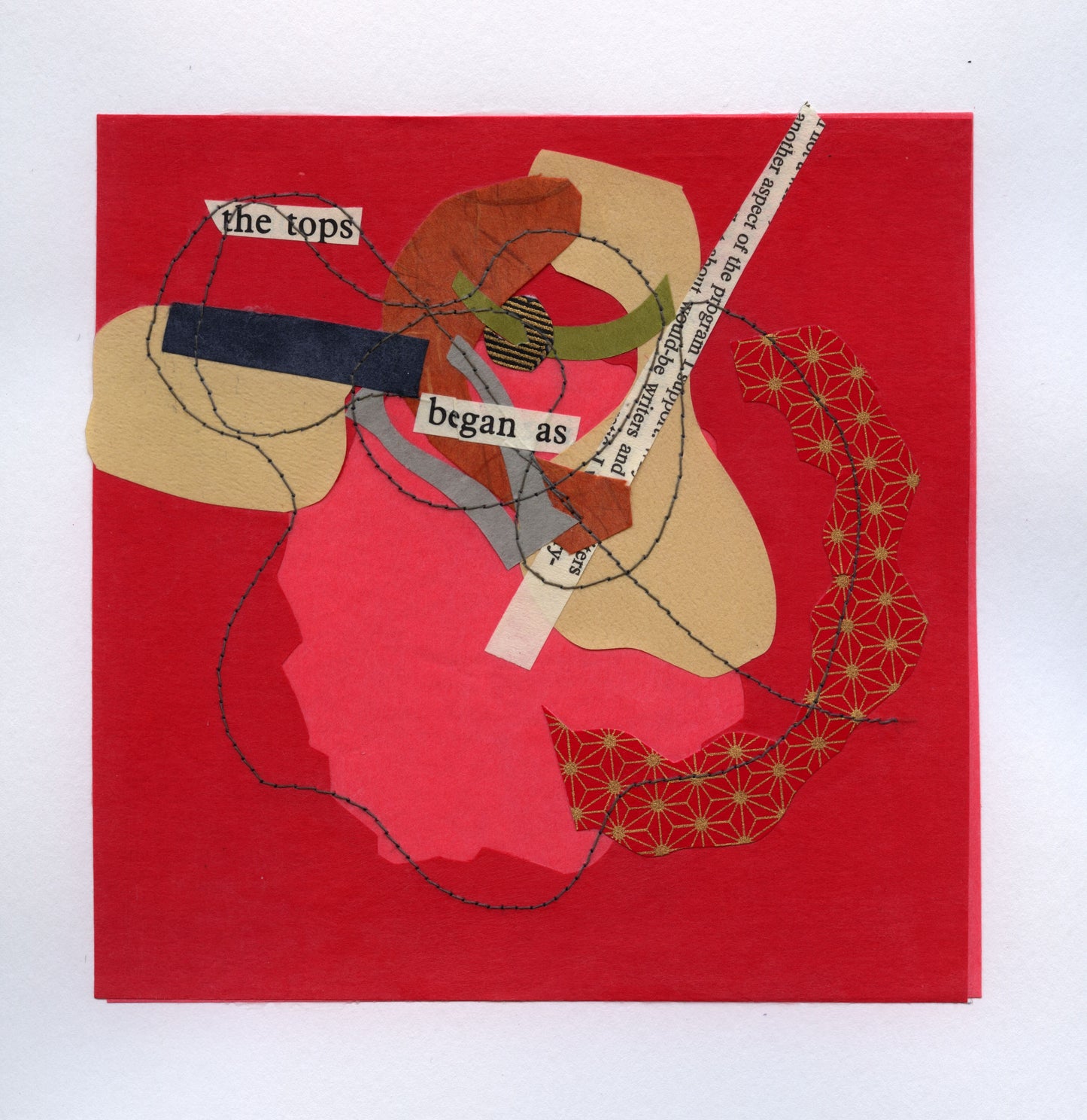 What Began as Roses By Joan Ranzini