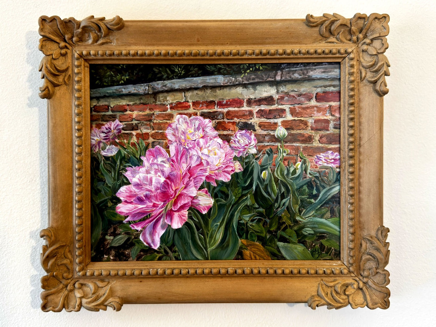 Agecroft V - Frilled Tulips