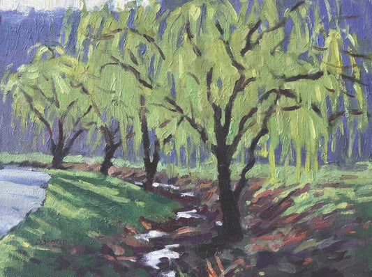 Springtime in the Willows