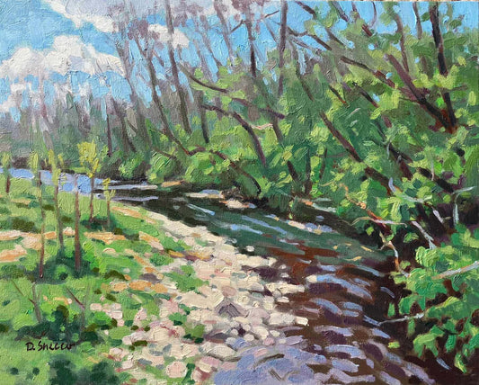 Spring on the Rapidan