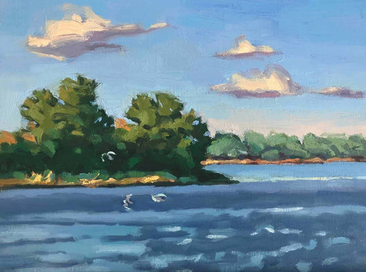 Evening with Gulls