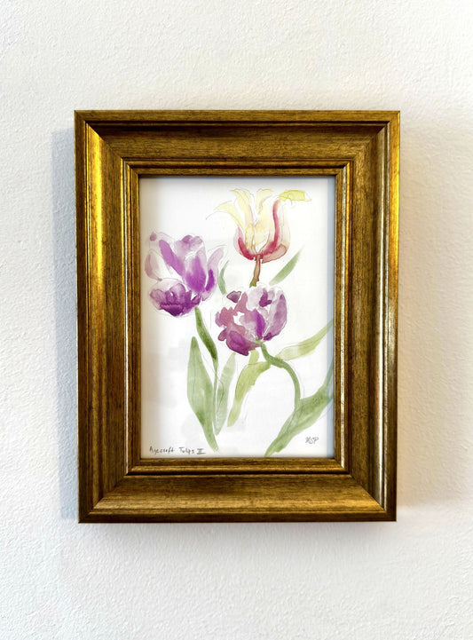 Agecroft Tulips II