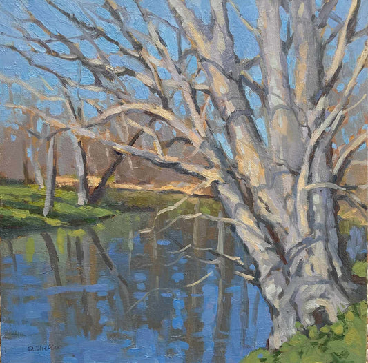 Spring on South River