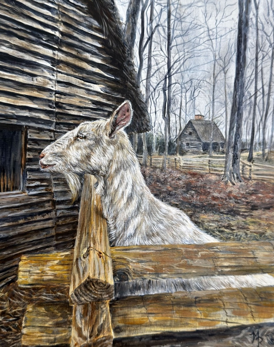 Henricus IX - Cassie's World