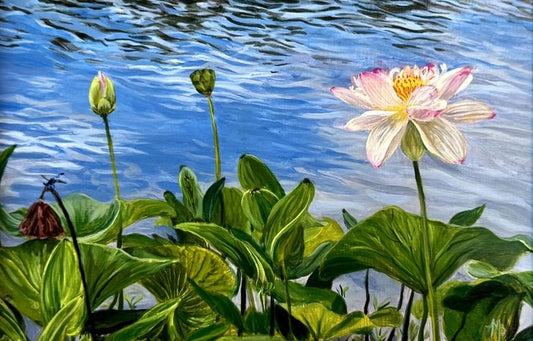 Lotus at Lewis Ginter