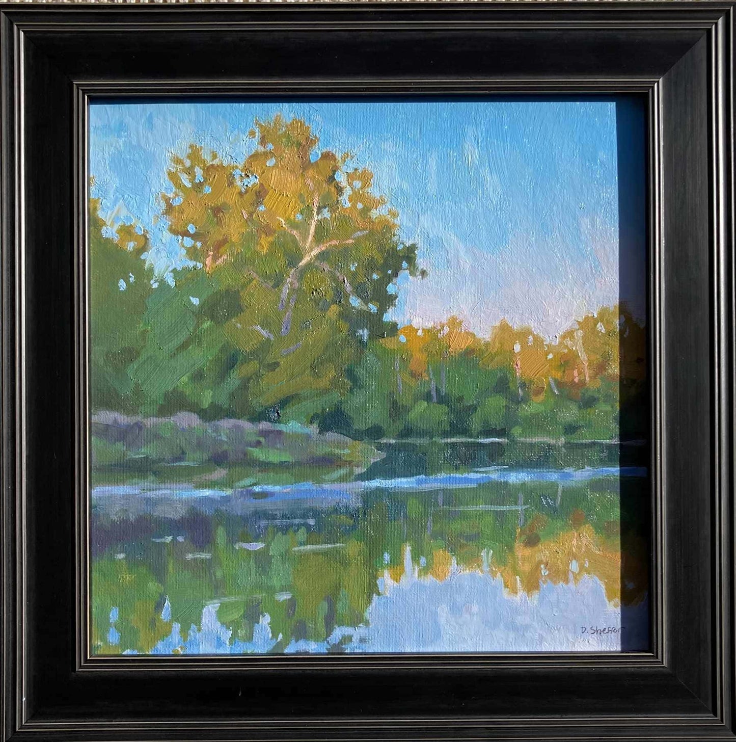 Autumn Reflections