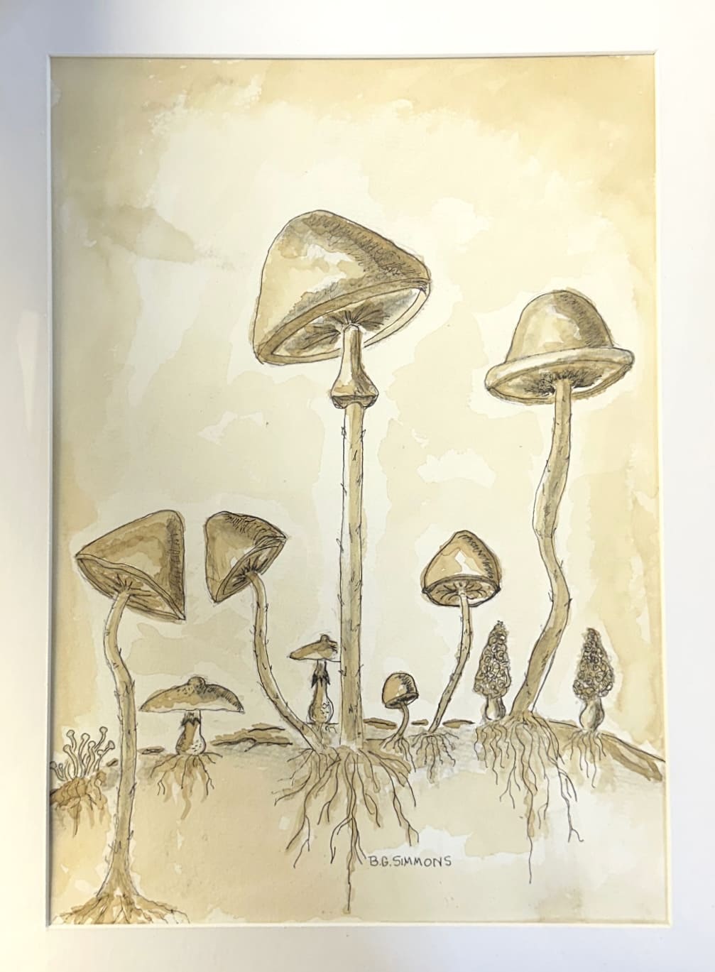 Mushrooms