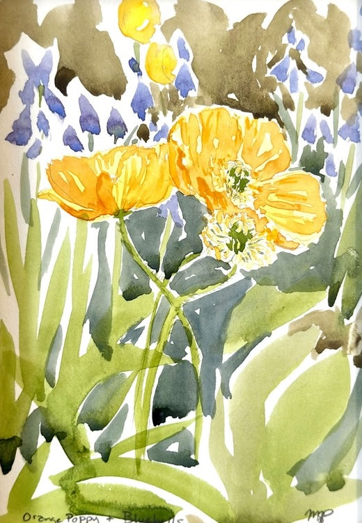 Orange Poppies and Bluebells