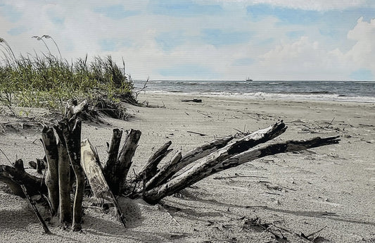 Isle of Palms, S.C. By Elaine D. Lee