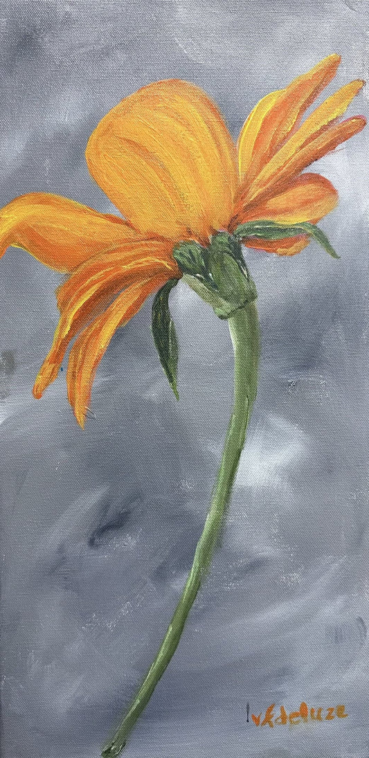 Orange Flower