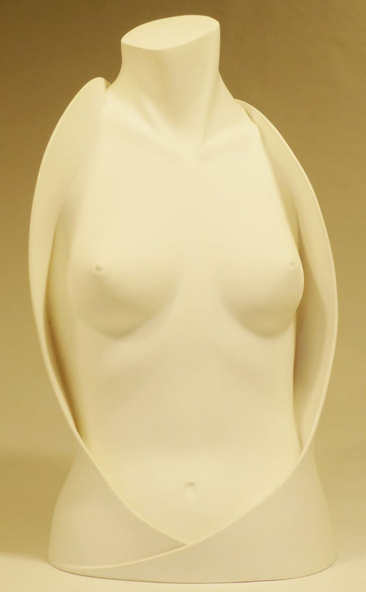 Torso By Thomas Haney